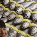 영광숍