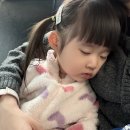 키즈아시아나어린이집 | 28개월 아기랑 푸켓 여행 1일차 (아시아나 키즈 기내식 / 판푸리 레지던스)