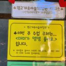 유아반 꿩고개 현장학습