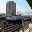 H1409 이미지