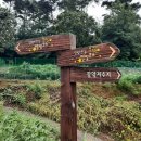 성안생활체육공원 이미지