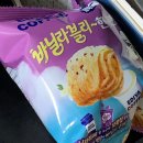 바닐라블리 이미지