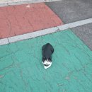 백현 팝업스토어 예약 실패...