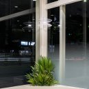 포포동물병원 이미지