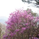 남문5길 이미지