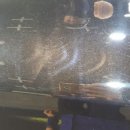 VIP 광택,코팅 이미지