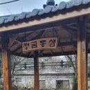 통샘 이미지