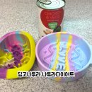 나투라 | 촉촉하게 잘 먹는 강아지습식사료 찾는다면 딩고나투라 나투라다이어트 후기