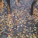 래미안목동아델리체 | 래미안목동아델리체 세탁실 공간 정리에 좋은 시스템선반