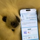 로켓PC | 고양이 강아지 맞춤사료를 수의사가 직접 추천해주는 쿠팡 로켓펫닥터 무료서비스 이용 후기