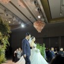 혜경축사 이미지