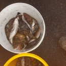 솔숲하우스 이미지