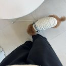 양현로 405번길 | 어버이날 카네이션 꽃집 추천 플라도르 ˖୨ৎ‧₊˚ ⋅ 여수동꽃집 야탑역꽃집 어버이날 카네이션