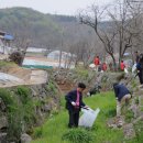 화천1리 이미지