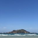 다시봄한약국 | 꽤나 여유로운 한의대 본2 1학기 일상