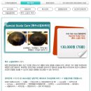 WT메소드안산점 | <시흥 두피/안산 탈모관리> WT메소드 안산점 스칼프 케어 후기