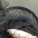 화성대어낚시터 이미지