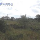 남원읍-75 Daum카페