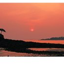 곰소농장 이미지