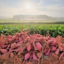 덕기농장 이미지