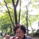 벌교대교(무안) 이미지