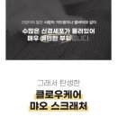 까미마켓 | 고양이 발톱관리 고양이 스크래쳐 추천 '더동글마켓 클로우케어 먀오스크래쳐'