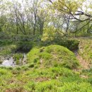 호암세월 이미지