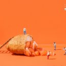 쌍문제일점 이미지