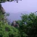 삼선10 이미지