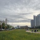 지식의 꽃밭 화장실 이미지