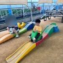 김진호농장 | [ 경기 | 용인 농촌체험 ] 포레스트 벨