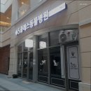 S클래스 동물병원 이미지