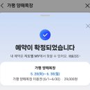 상관목장 | 아이들과 가기 좋은 가평양떼목장🐑 솔직후기