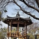강경-8 이미지