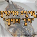생태와갈치식당 이미지