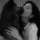 전진농장4 이미지