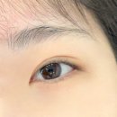 창원 용호동 브로우소예 속눈썹연장 후기 | 당일예약 가능 | 속눈썹펌