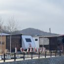 민머루잼머 이미지