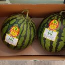 한진청과 이미지