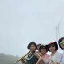 7월산행 안반대기와 월정사 상원사 이미지