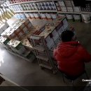 정안상사 이미지