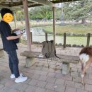 로쿠커피