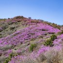 황금장 여관 이미지