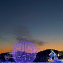 빛 시리즈 | [부산 해운대 감성카페 추천] 워킹홀리데이 내돈내산 후기