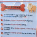 청그릭 이미지