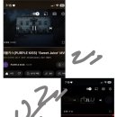유르르 이미지