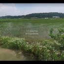 바이오밸리공인중개사사무소 이미지