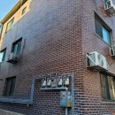 (주)위드독 | 바퀴벌레 퇴치 시흥시 정왕동 빌라 주택 생기는 원인 없애는법 방역업체 후기
