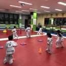 박사경희대태권도교육관 이미지