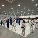 오아시스 유도클럽 이미지